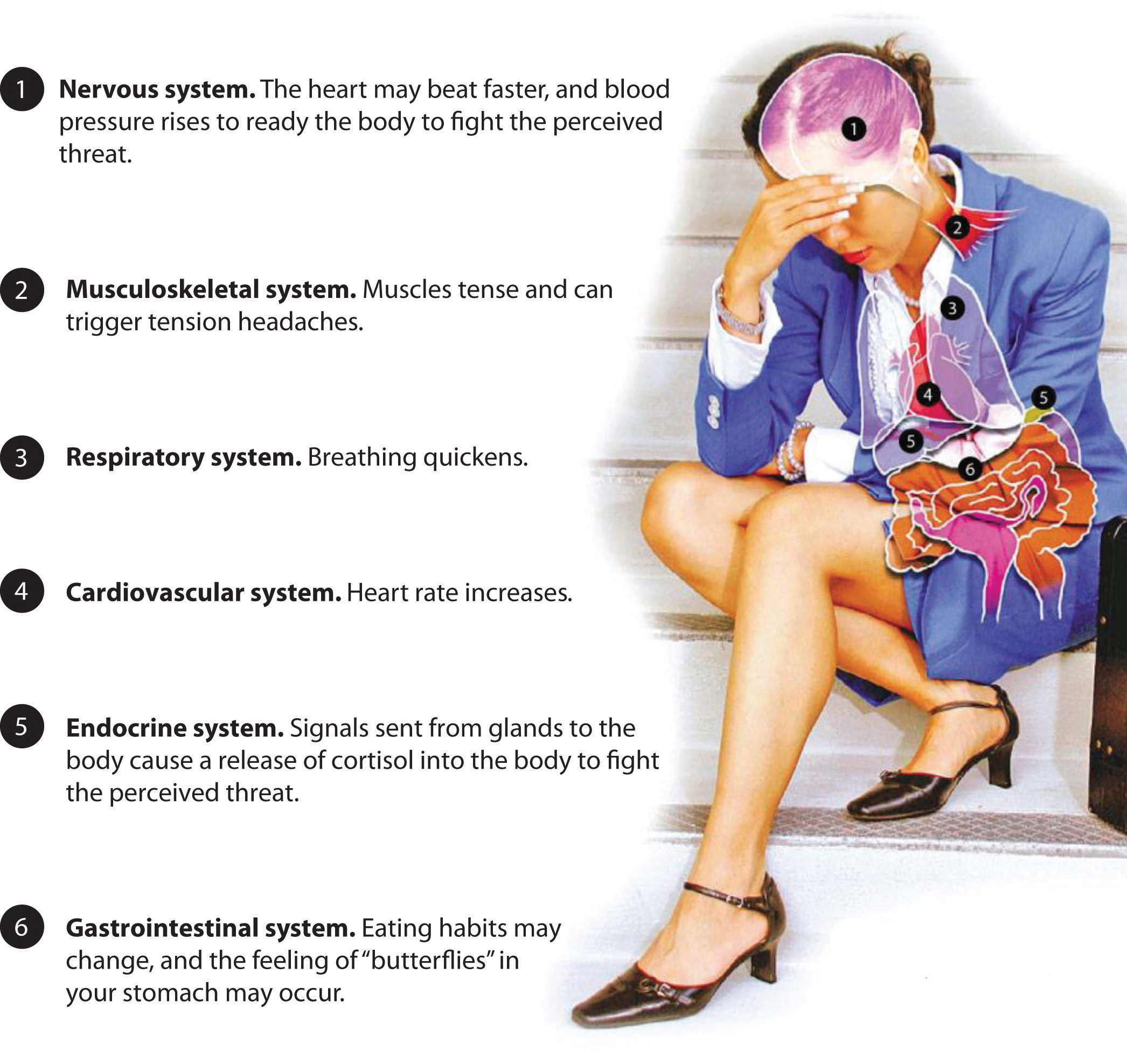 Illustration showing a person with anatomical labels for various body systems: nervous, muscular, digestive, and more.