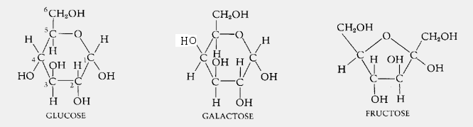 Three chemical structures: caffeine (C8H10N4O2), cocaine (C17H21NO4), and nicotine (C10H14N2). Each structure depicts the arrangement of carbon, hydrogen, nitrogen, and oxygen atoms.