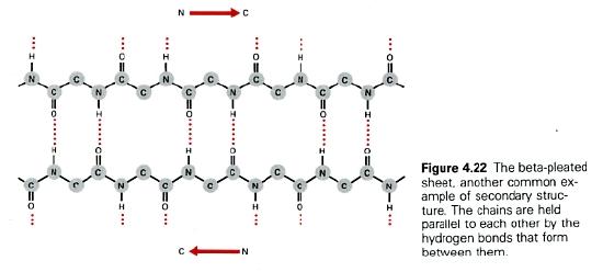 Diagram showing a net-like structure of molecules arranged in a 45-degree pattern. Red arrows indicate movement. Text explains the diagram as a helix-like sheet.