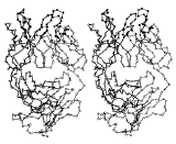 Black and white line drawing of two complex, symmetrical structures resembling interconnected organic shapes, possibly representing molecular or protein structures.