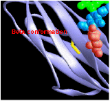 3D representation of a protein structure showing beta conformation with purple strands. Red, green, and blue spheres indicate molecular components. Beta conformation is labeled in red text.