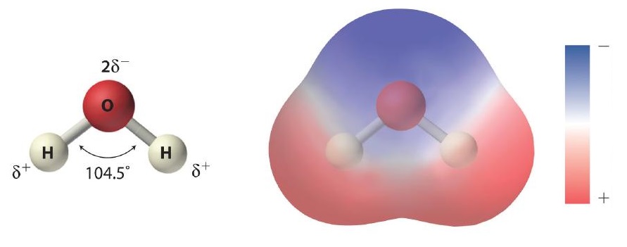Diagram showing a water molecule (H2O) with oxygen in red and hydrogen in white, alongside an electron density distribution map.