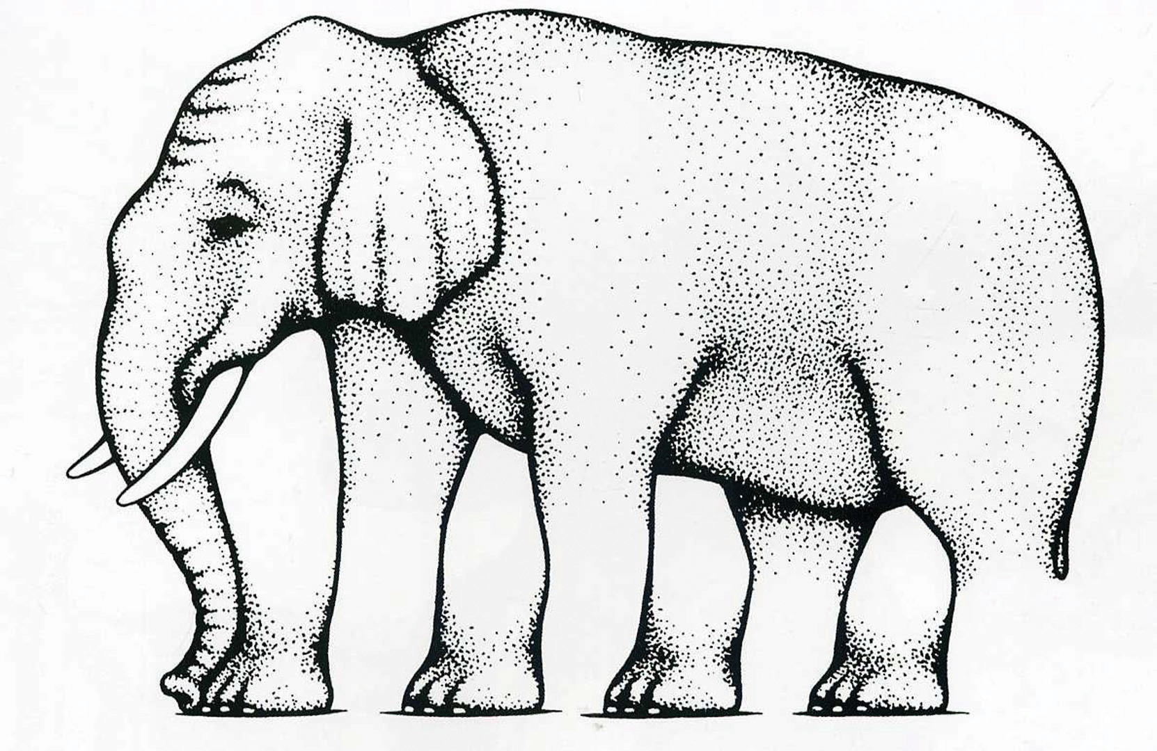 A sketched illustration of an elephant standing on four legs, with a trunk and large ears.