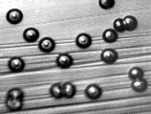 Black and white image of several small spheres scattered on a textured, lined surface.